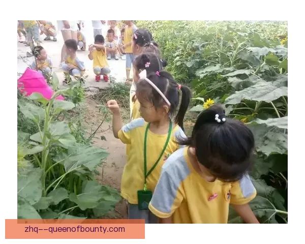 世界杯出线形势下国家队阵容风向与中场绞杀节奏博弈解析全景观察 世界杯出线形势下国家队阵容风向与中场绞杀节奏博弈解析全景观察